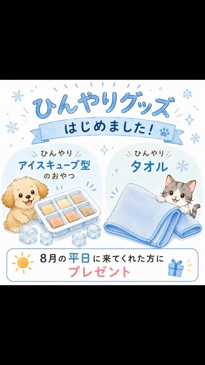 いつも暑い中ご来院いただきありがとうございます。