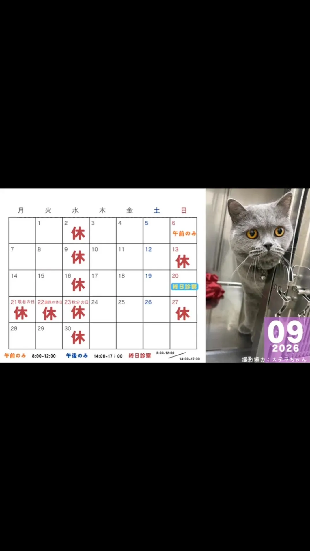 \\9月カレンダーのお知らせ🗓️//