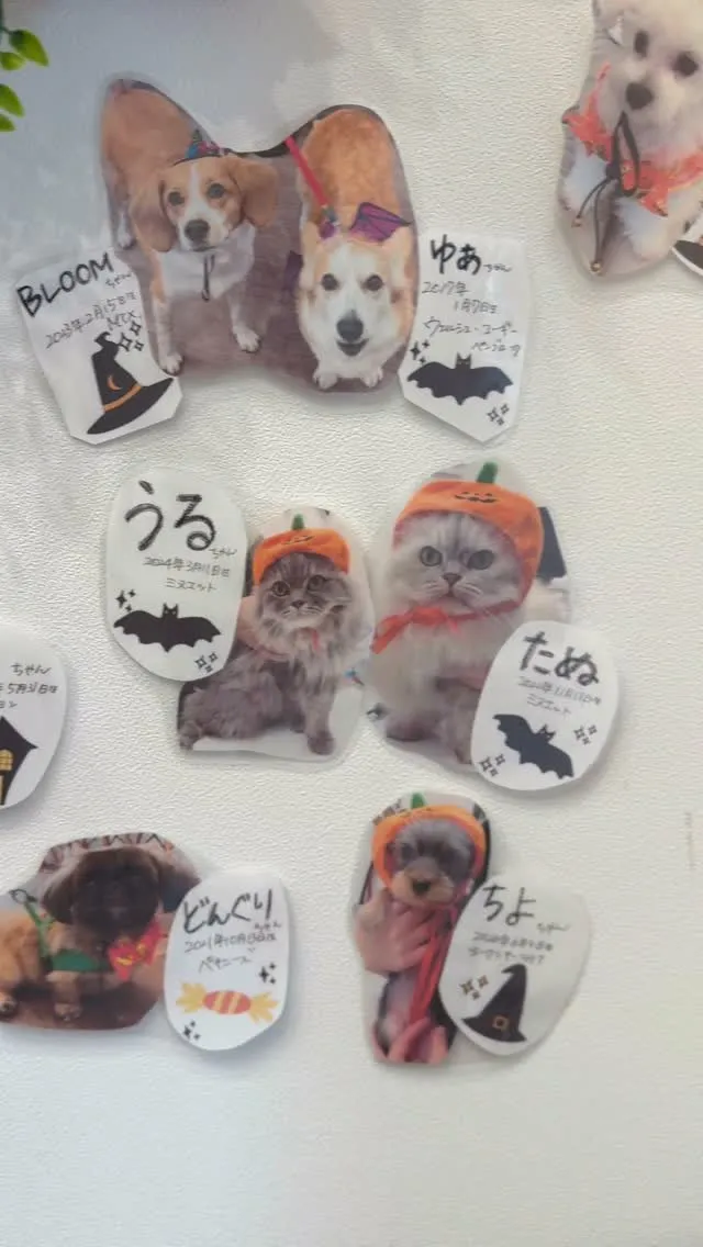 🎃ハロウィンイベントへのご参加ありがとうございました！👻